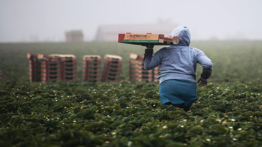 The Importance of Small Batch Food & Ingredient Producers