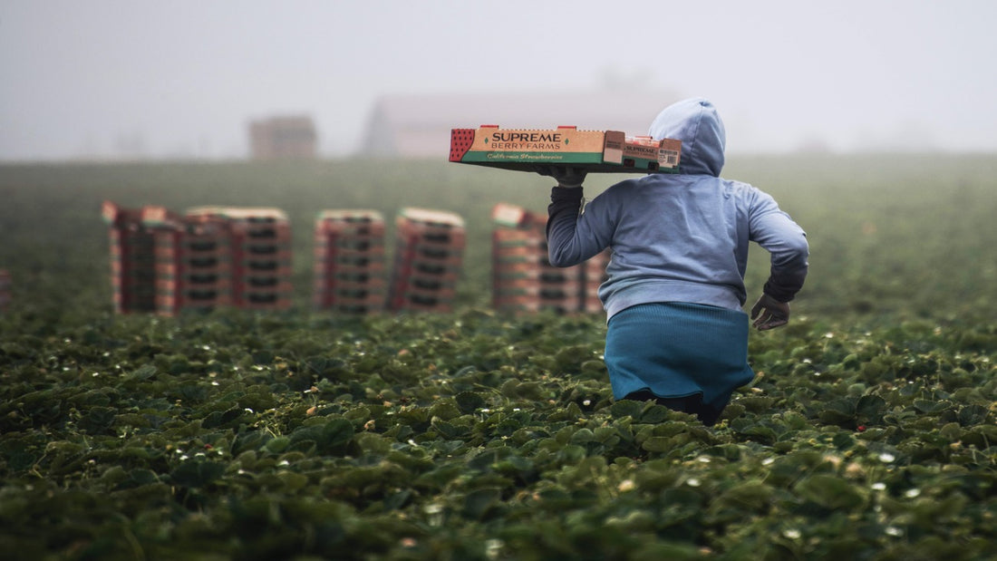 The Importance of Small Batch Food & Ingredient Producers